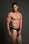 Star Brief