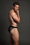 Star Brief