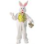 Bunny Mascot Plus Costume