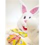 Bunny Mascot Plus Costume