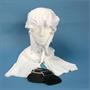 Heroes in History - Pilgrim Woman Accessory Kit