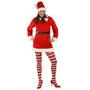 Holiday Tunic Set Adult - Winter Holiday Classics Costume