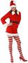 Holiday Tunic Set Adult - Winter Holiday Classics Costume