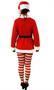 Holiday Tunic Set Adult - Winter Holiday Classics Costume