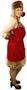Santa's Pet Adult Plus - Winter Holiday Classics Costume