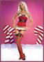 Naughty and Nice Bustier Set Adult