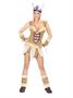 Viking Vixen Adult Costume