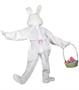 Professional Easter Bunny Adult Costume