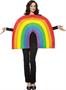 Rainbow Adult Costume