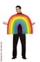 Rainbow Adult Costume