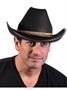 Felt Cowboy Hat
