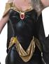 Marvel Classic Secret Wishes Storm Adult Costume