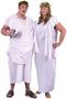 Toga! Toga! Plus Adult Costume