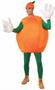 Orange Adult Costume One-Size