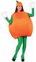 Orange Adult Costume One-Size