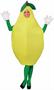 Pear Adult Costume One-Size
