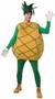 Pineapple Adult Costume One-Size