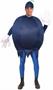 Blueberry Adult Costume One-Size