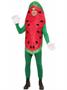 Watermelon Adult Costume One-Size