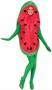 Watermelon Adult Costume One-Size