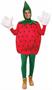 Strawberry Adult Costume One-Size