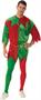 Adult Elf Costume