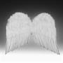 Feather Wings