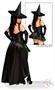 5 PC Sexy Wicked Witch Costume