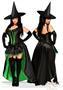 5 PC Sexy Wicked Witch Costume