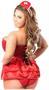 Lavish 4 PC Naughty Nurse Corset Costume