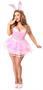 Lavish 3 PC Flirty Pink Bunny Costume