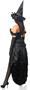 Top Drawer Premium 5 PC Spellbound Witch Costume