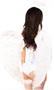 Top Drawer 4 PC Sweet Angel Corset Costume