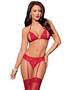 Peek a Boo Tri Top Bra, Garterbelt, Panty and Thigh Highs