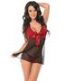 Sexy Sheer Babydoll and Panty