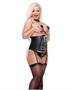Fetish fantasy waist cincher, thong, collar, pasties, stockings and removable garters