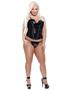 Fetish fantasy vinyl corset, g-string and removable garters