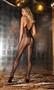 Seductive Lace Bodystocking
