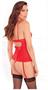Lace-Up Bustier, Removable Garters and G-String