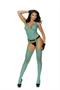 Fishnet and lace suspender bodystocking.