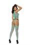 Fishnet and lace suspender bodystocking.