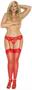 Lace garter belt and matching thong