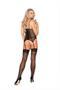 Mesh and lace bustier