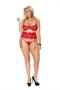 Embroidered lace and mesh underwire bra with adjustable straps - Plus