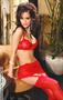Embroidered mesh underwire bra with waist cincher & g-string