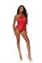 Embroidered mesh slip on teddy with halter neck