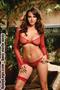 Fence net cami top, Long sleeve, thong with lace trim
