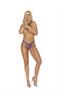 Mesh panty with embroidered applique