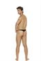 Men's micro mini thong.