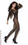 Long sleeve lace bodystocking
